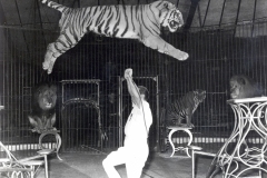 1951_Trubka_9
