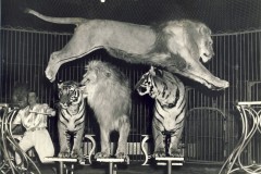 1956-lins-13Trubka