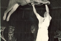 1956-lins-8Trubka