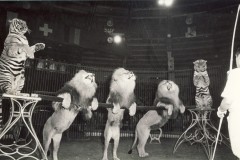 1956-lins-9Trubka