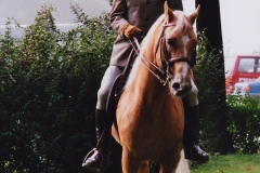 Umzug-1987_Lausanne-17