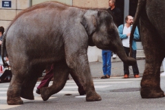 Umzug-1987_Lausanne-29