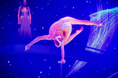 2026_Valeriia_Davydenko_13A