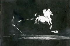 1958-berg-10