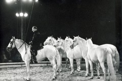 1958-berg-5