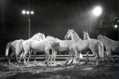1958-berg-6