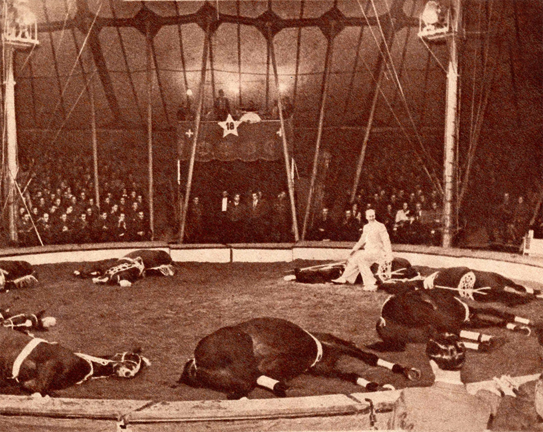 194748 Cirque Royal Kniepedia
